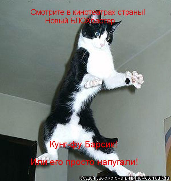 Котоматрица: Смотрите в кинотеатрах страны! Новый БЛОХбастер Кунг-фу Барсик! Или его просто напугали!