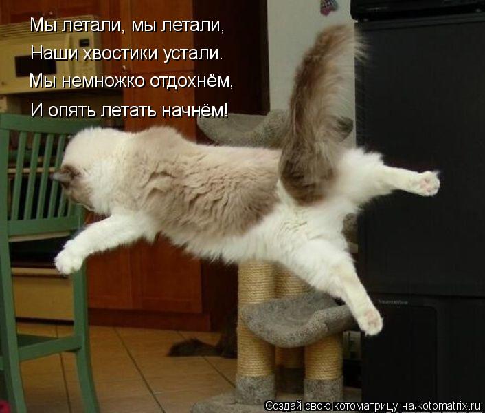 Котоматрица: Мы летали, мы летали,  Наши хвостики устали. Мы немножко отдохнём,  И опять летать начнём!