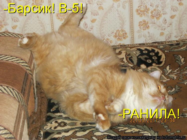 -Барсик! В-5! -РАНИЛА!... Котоматрица: -Барсик! В-5! -РАНИЛА!