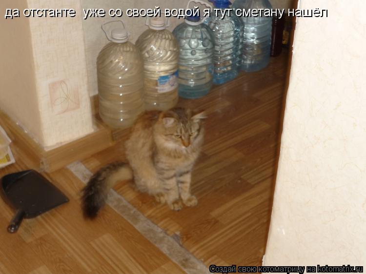 Котоматрица: да отстанте  уже со своей водой я тут сметану нашёл