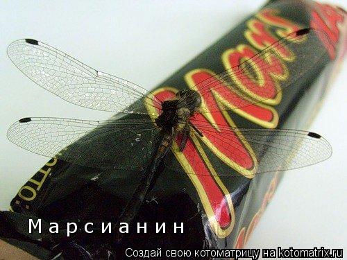 М а р с и а н и н... Котоматрица: М а р с и а н и н