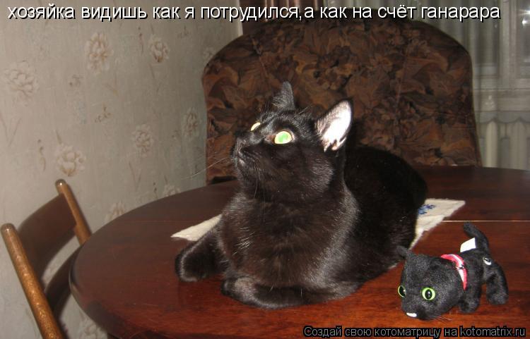 Котоматрица: хозяйка видишь как я потрудился,а как на счёт ганарара