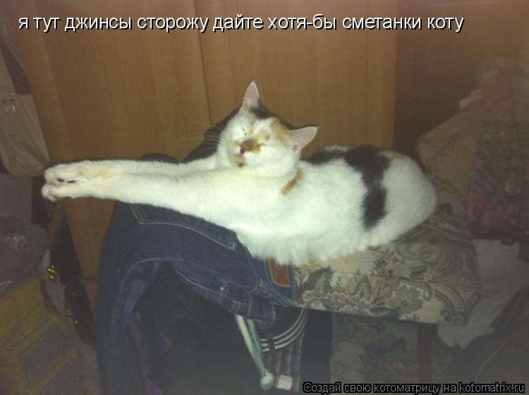Котоматрица: я тут джинсы сторожу дайте хотя-бы сметанки коту
