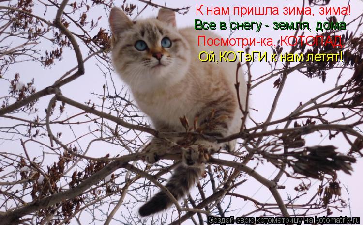 Котоматрица: К нам пришла зима, зима! Все в снегу - земля, дома Посмотри-ка, КОТОПАД, Ой,КОТэГИ к нам летят!