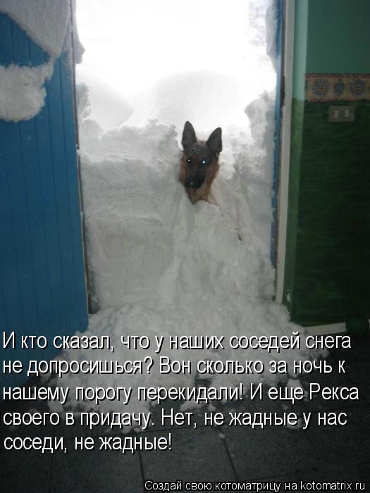 И кто сказал, что у наших соседей снега не допросишься? Вон сколько за ночь к нашему порогу перекидал... Котоматрица: И кто сказал, что у наших соседей снега не допросишься? Вон сколько за ночь к нашему порогу перекидали! И еще Рекса своего в придачу. Нет, не ж