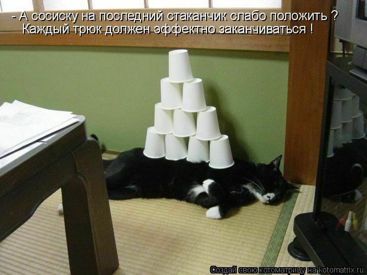 - А сосиску на последний стаканчик слабо положить ? Каждый трюк должен эффектно заканчиваться !... Котоматрица: - А сосиску на последний стаканчик слабо положить ? Каждый трюк должен эффектно заканчиваться !