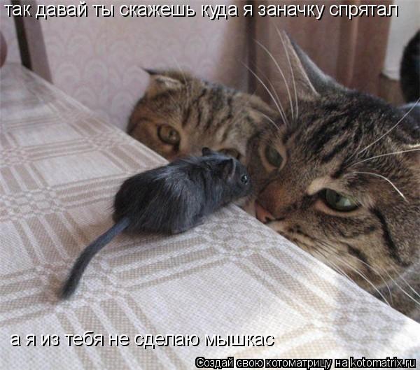 так давай ты скажешь куда я заначку спрятал а я из тебя не сделаю мышкас... Котоматрица: так давай ты скажешь куда я заначку спрятал а я из тебя не сделаю мышкас