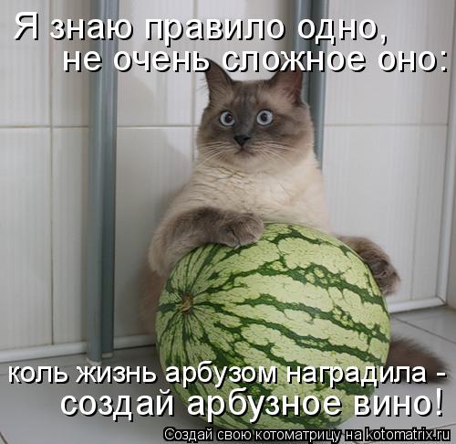 Я знаю правило одно, не очень сложное оно: создай арбузное вино! коль жизнь арбузом наградила -... Котоматрица: Я знаю правило одно, не очень сложное оно: создай арбузное вино! коль жизнь арбузом наградила -