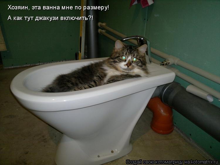 Хозяин, эта ванна мне по размеру! А как тут джакузи включить?!... Котоматрица: Хозяин, эта ванна мне по размеру! А как тут джакузи включить?!