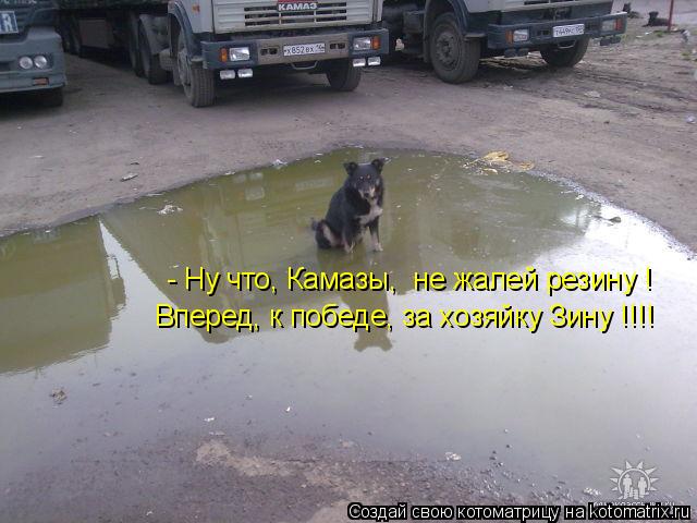 - Ну что, Камазы, не жалей резину ! Вперед, к победе, за хозяйку Зину !!!!... Котоматрица: - Ну что, Камазы, не жалей резину ! Вперед, к победе, за хозяйку Зину !!!!