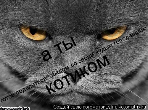 готов поделиться обедом со своим худым голодавшим а ты котиком... Котоматрица: готов поделиться обедом со своим худым голодавшим а ты котиком