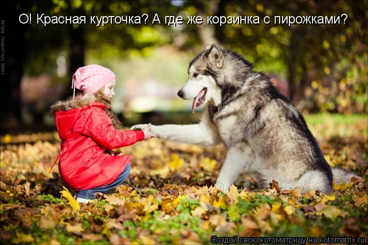 О! Красная курточка? А где же корзинка с пирожками?... Котоматрица: О! Красная курточка? А где же корзинка с пирожками?