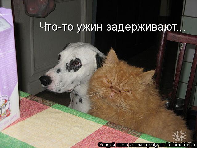 Что-то ужин задерживают...... Котоматрица: Что-то ужин задерживают...