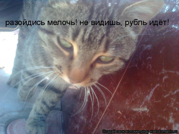 разойдись мелочь! не видишь, рубль идёт!... Котоматрица: разойдись мелочь! не видишь, рубль идёт!