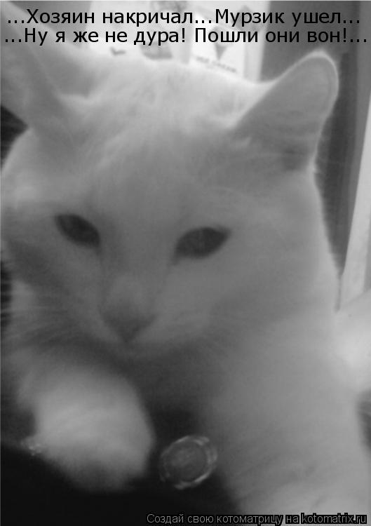 ...Хозяин накричал...Мурзик ушел... ...Ну я же не дура! Пошли они вон!...... Котоматрица: ...Хозяин накричал...Мурзик ушел... ...Ну я же не дура! Пошли они вон!...