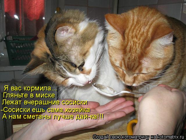 Я вас кормила... Гляньте в миске Лежат вчерашние сосиски А нам сметаны лучше дай-ка!!! -Сосиски ешь с... Котоматрица: Я вас кормила... Гляньте в миске Лежат вчерашние сосиски А нам сметаны лучше дай-ка!!! -Сосиски ешь сама,хозяйка