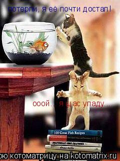ооой... я щас упаду.... потерпи, я её почти достал!... Котоматрица: ооой... я щас упаду.... потерпи, я её почти достал!