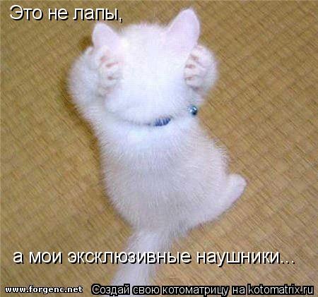 Это не лапы, а мои эксклюзивные наушники...... Котоматрица: Это не лапы, а мои эксклюзивные наушники...