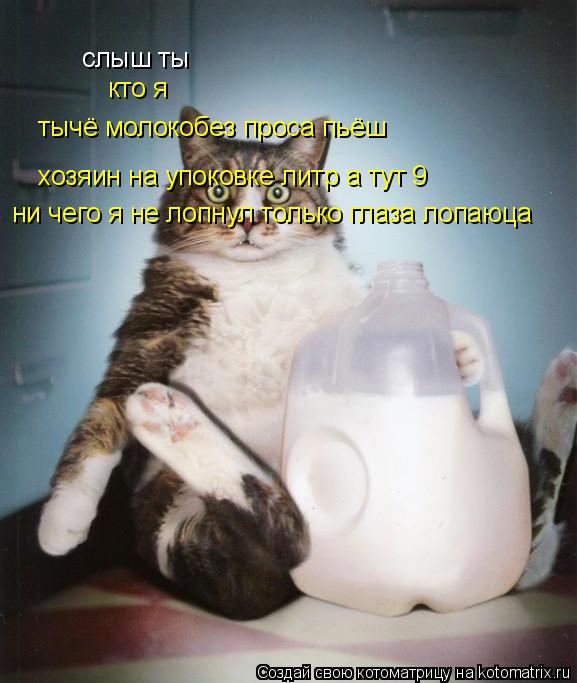 слыш ты кто я тычё молокобез проса пьёш хозяин на упоковке литр а тут 9 ни чего я не лопнул только гл... Котоматрица: слыш ты кто я тычё молокобез проса пьёш хозяин на упоковке литр а тут 9 ни чего я не лопнул только глаза лопаюца