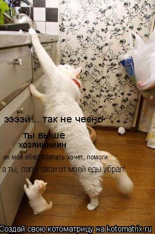 ээээй... так не чесно ты выше хозяииииин он мой обед слопать хочет, помоги а ты, лапы свои от моей ед... Котоматрица: ээээй... так не чесно ты выше хозяииииин он мой обед слопать хочет, помоги а ты, лапы свои от моей еды убрал!
