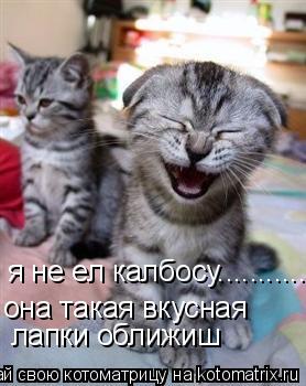 я не ел калбосу............ она такая вкусная лапки оближиш... Котоматрица: я не ел калбосу............ она такая вкусная лапки оближиш