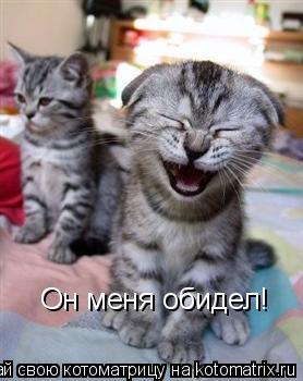 Котоматрица: Он меня обидел!
