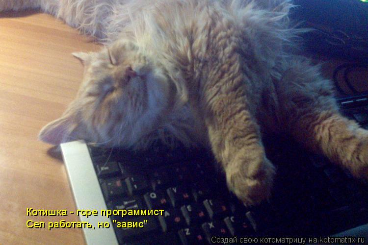Котишка - горе программист Сел работать, но "завис"... Котоматрица: Котишка - горе программист Сел работать, но "завис"