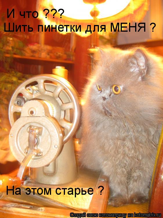 Котоматрица: И что ??? Шить пинетки для МЕНЯ ? На этом старье ?