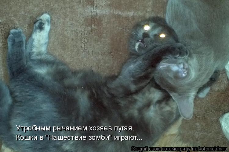Котоматрица: Кошки в "Нашествие зомби" играют... Утробным рычанием хозяев пугая,