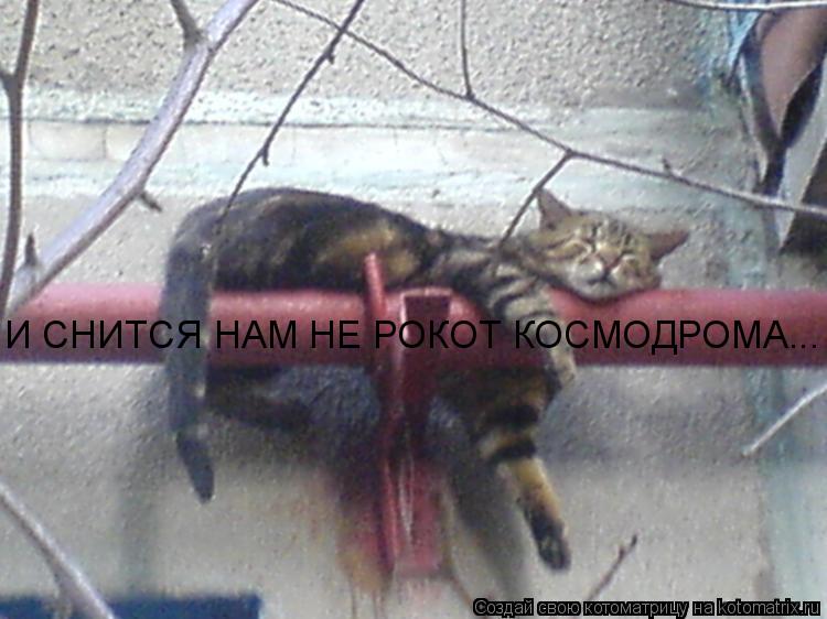 Котоматрица: И СНИТСЯ НАМ НЕ РОКОТ КОСМОДРОМА...