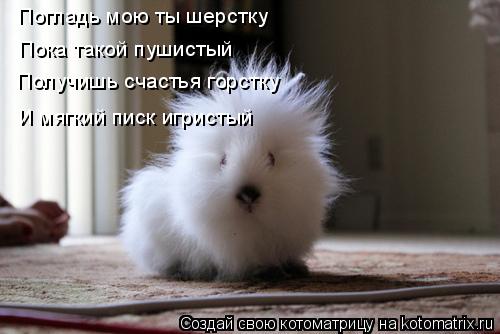 Котоматрица: Погладь мою ты шерстку Получишь счастья горстку Пока такой пушистый И мягкий писк игристый