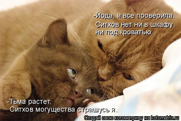 Котоматрица: -Тьма растет.  ни под кроватью. Ситхов нет ни в шкафу Ситхов могущества страшусь я. -Йода, я все проверила.