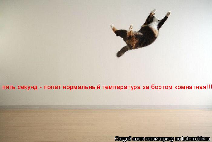 Котоматрица: пять секунд - полет нормальный температура за бортом комнатная!!!
