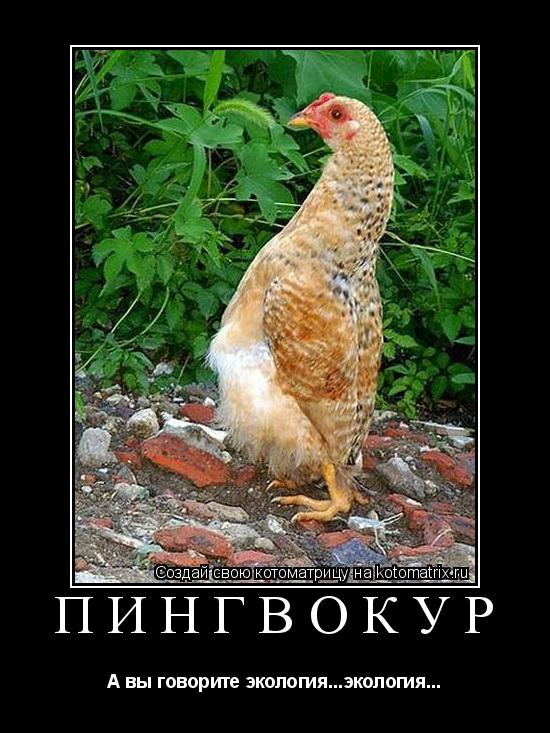 ПИНГВОКУР А вы говорите экология...экология...... Котоматрица: ПИНГВОКУР А вы говорите экология...экология...