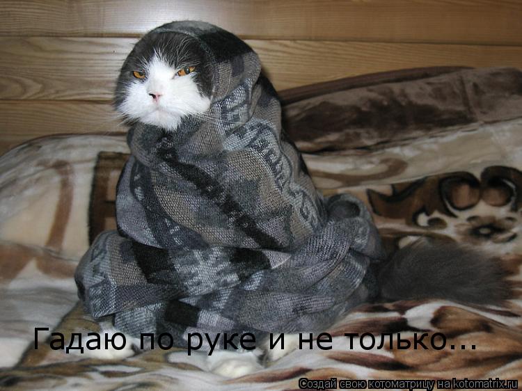Котоматрица: Гадаю по руке и не только...