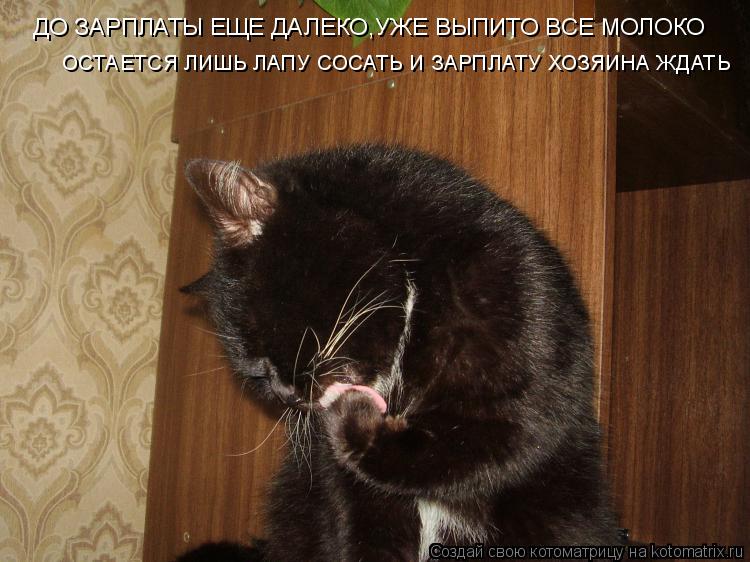 Котоматрица: ДО ЗАРПЛАТЫ ЕЩЕ ДАЛЕКО,УЖЕ ВЫПИТО ВСЕ МОЛОКО  ОСТАЕТСЯ ЛИШЬ ЛАПУ СОСАТЬ И ЗАРПЛАТУ ХОЗЯИНА ЖДАТЬ