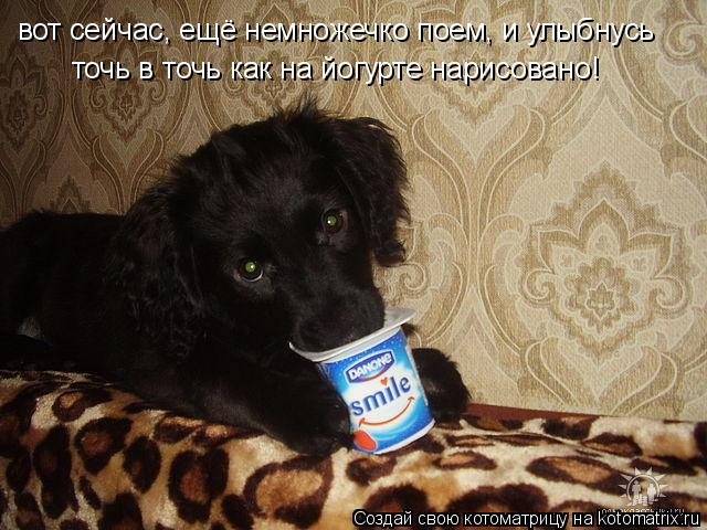 Котоматрица: вот сейчас, ещё немножечко поем, и улыбнусь точь в точь как на йогурте нарисовано!