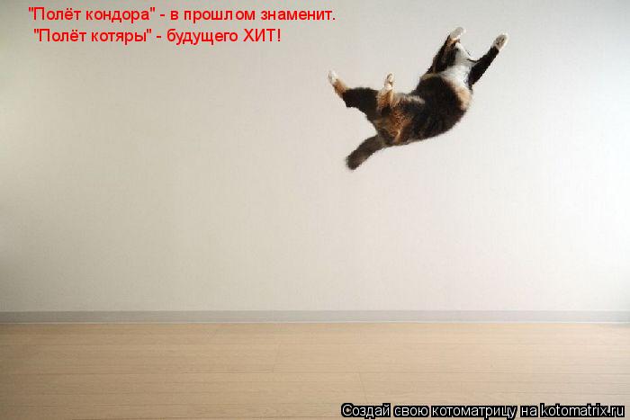 Котоматрица: "Полёт кондора" - в прошлом знаменит. "Полёт котяры" - будущего ХИТ!