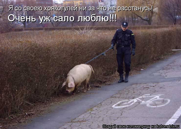 Котоматрица: Я со своею хрякотулей ни за что не расстанусь! Очень уж сало люблю!!!