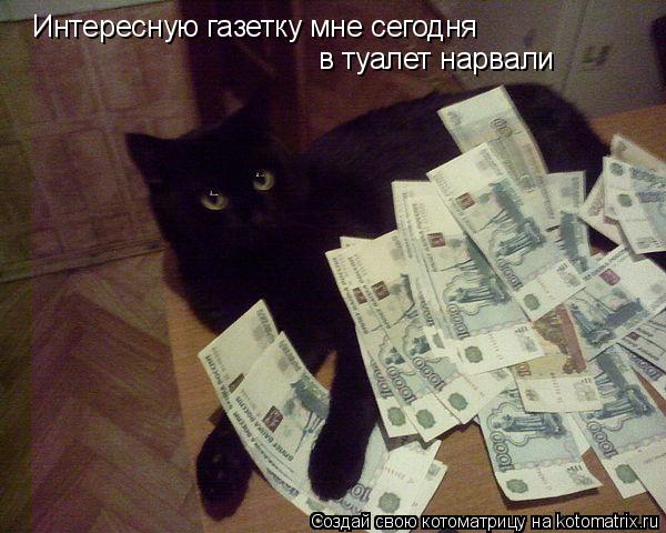 Котоматрица: Интересную газетку мне сегодня в туалет нарвали