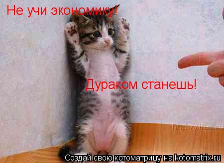 Котоматрица: Не учи экономику! Дураком станешь!