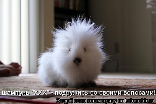 Котоматрица: шампунь "ХХХ" - подружись со своими волосами!