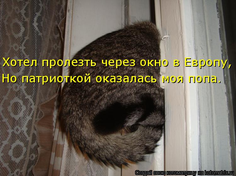Хотел пролезть через окно в Европу, Но патриоткой оказалась моя попа.... Котоматрица: Хотел пролезть через окно в Европу, Но патриоткой оказалась моя попа.