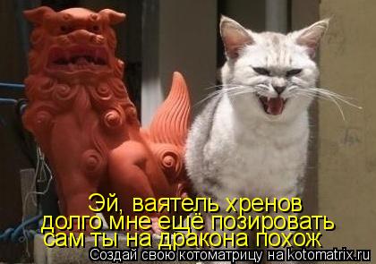Котоматрица: Эй, ваятель хренов долго мне ещё позировать сам ты на дракона похож