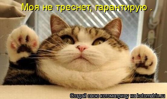 Котоматрица: Моя не треснет, гарантирую .