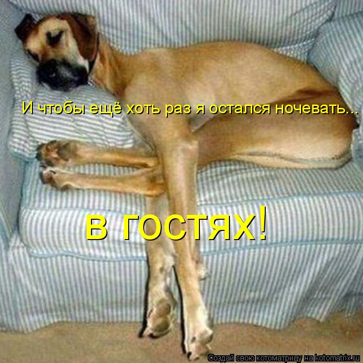 И чтобы ещё хоть раз я остался ночевать... в гостях!... Котоматрица: И чтобы ещё хоть раз я остался ночевать... в гостях!