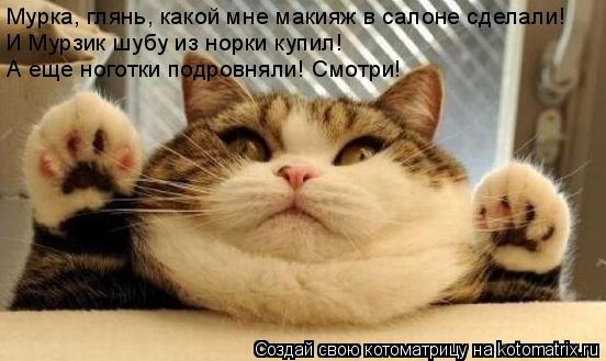 Котоматрица: Мурка, глянь, какой мне макияж в салоне сделали! И Мурзик шубу из норки купил! А еще ноготки подровняли! Смотри!