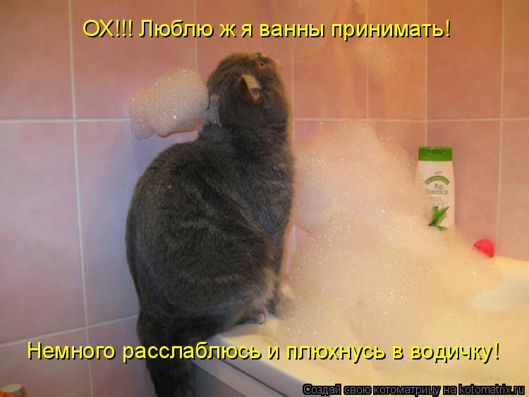 Котоматрица: ОХ!!! Люблю ж я ванны принимать!  Немного расслаблюсь и плюхнусь в водичку!