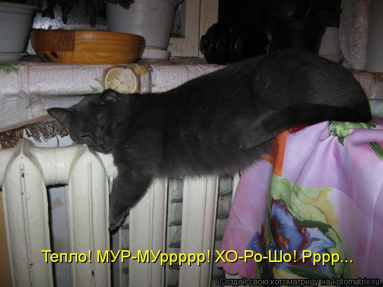 Котоматрица: Тепло! МУР-МУррррр! ХО-Ро-Шо! Рррр...