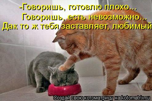 Котоматрица: -Говоришь, готовлю плохо... Говоришь, есть невозможно... Дак то ж тебя заставляет, любимый...